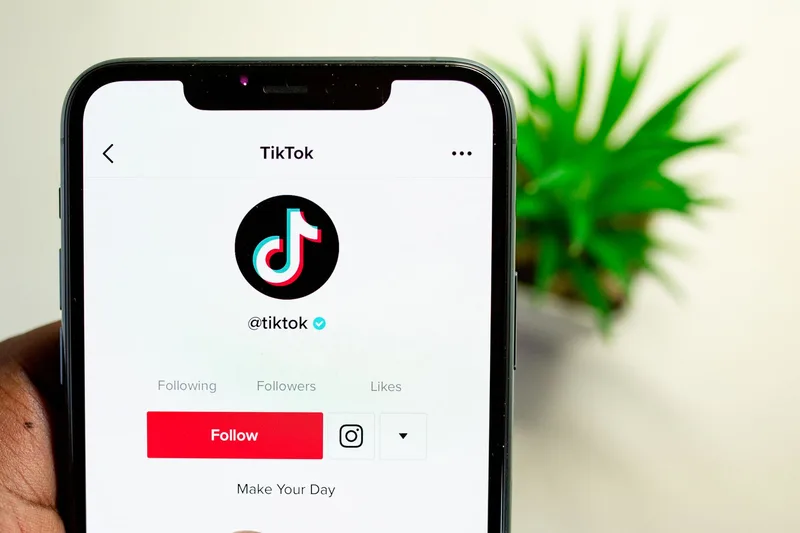 TikTok Analytics Followers tab showing the Follower Activity graph with day and hour breakdown